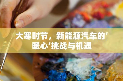 大寒时节，新能源汽车的‘暖心’挑战与机遇
