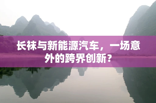 长袜与新能源汽车，一场意外的跨界创新？