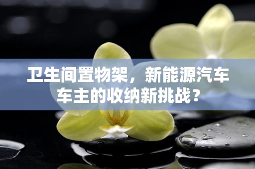 卫生间置物架，新能源汽车车主的收纳新挑战？