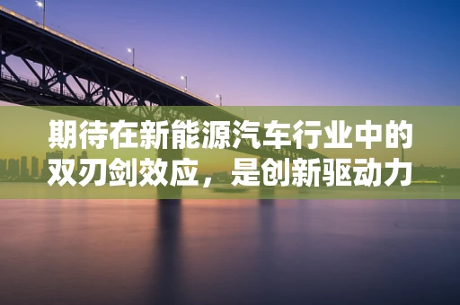 期待在新能源汽车行业中的双刃剑效应，是创新驱动力还是市场泡沫？