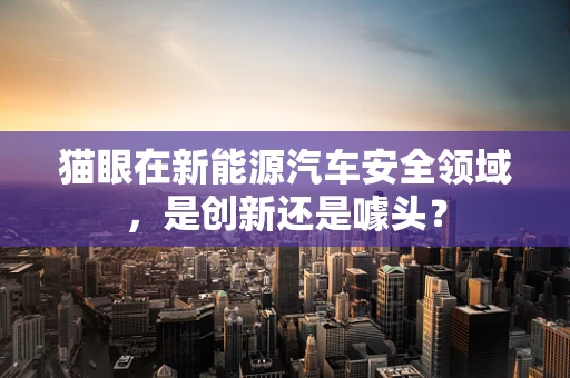 猫眼在新能源汽车安全领域，是创新还是噱头？