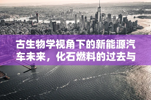 古生物学视角下的新能源汽车未来，化石燃料的过去与零排放的未来