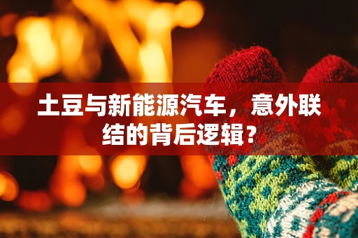 土豆与新能源汽车，意外联结的背后逻辑？