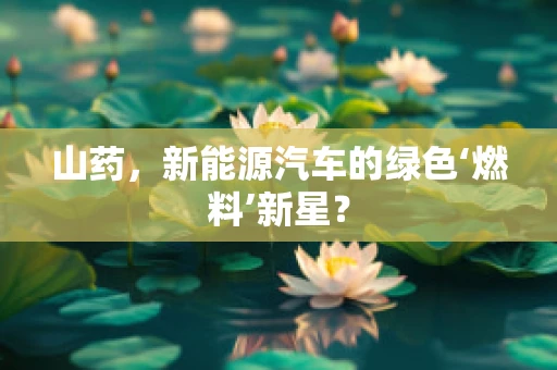 山药，新能源汽车的绿色‘燃料’新星？