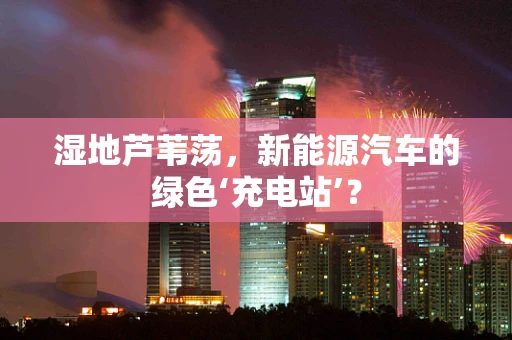 湿地芦苇荡，新能源汽车的绿色‘充电站’？
