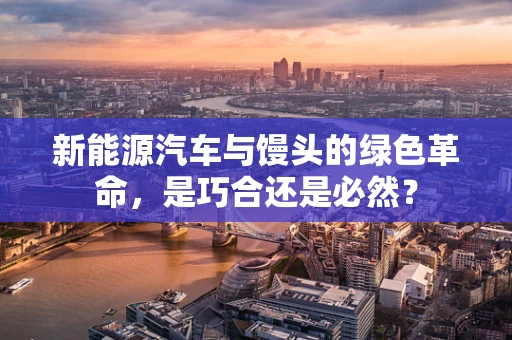 新能源汽车与馒头的绿色革命，是巧合还是必然？