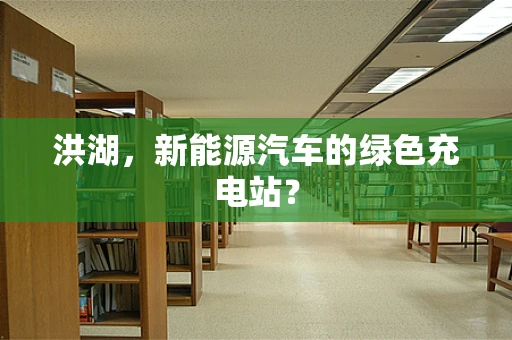 洪湖，新能源汽车的绿色充电站？