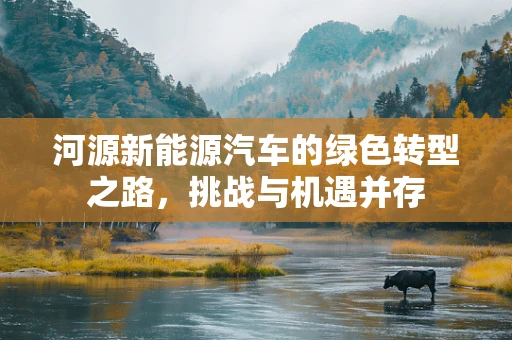 河源新能源汽车的绿色转型之路，挑战与机遇并存
