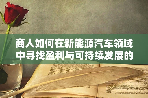 商人如何在新能源汽车领域中寻找盈利与可持续发展的平衡？