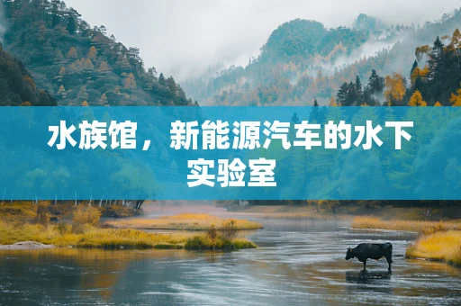 水族馆，新能源汽车的水下实验室