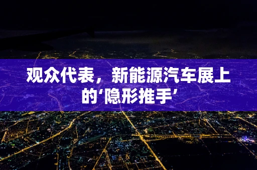 观众代表，新能源汽车展上的‘隐形推手’