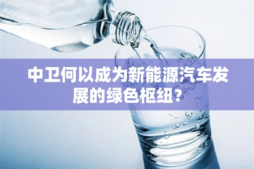 中卫何以成为新能源汽车发展的绿色枢纽？