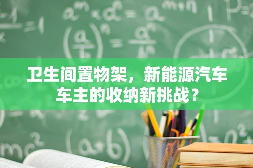卫生间置物架，新能源汽车车主的收纳新挑战？