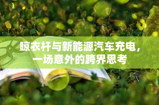 晾衣杆与新能源汽车充电，一场意外的跨界思考