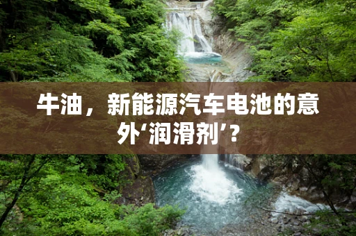 牛油，新能源汽车电池的意外‘润滑剂’？