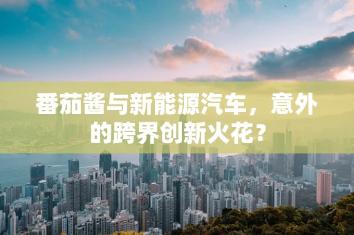 番茄酱与新能源汽车，意外的跨界创新火花？