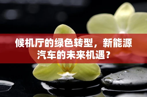 候机厅的绿色转型，新能源汽车的未来机遇？
