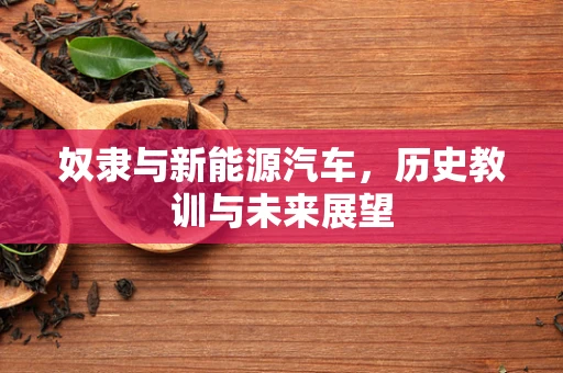 奴隶与新能源汽车，历史教训与未来展望
