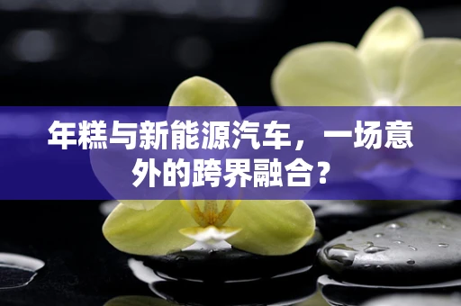 年糕与新能源汽车，一场意外的跨界融合？