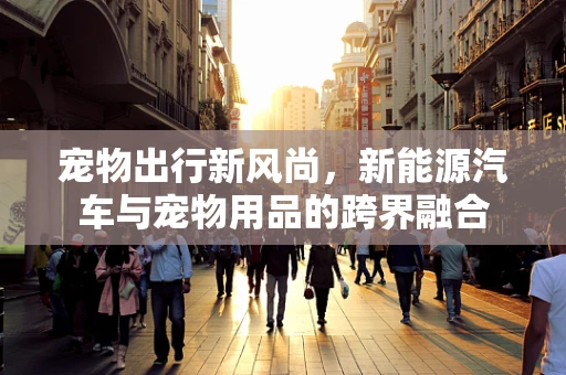 宠物出行新风尚，新能源汽车与宠物用品的跨界融合
