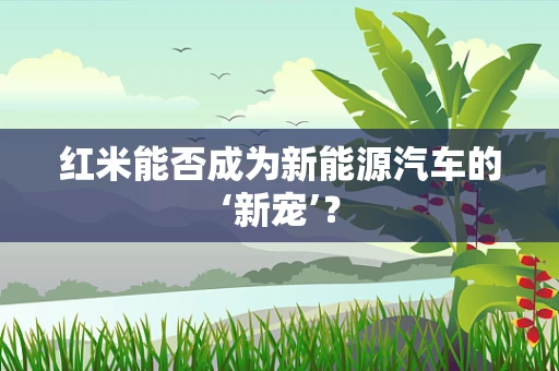 红米能否成为新能源汽车的‘新宠’？