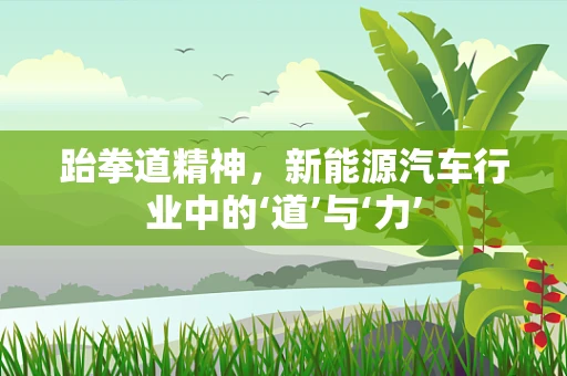 跆拳道精神，新能源汽车行业中的‘道’与‘力’