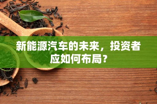 新能源汽车的未来，投资者应如何布局？