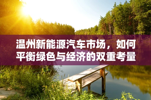 温州新能源汽车市场，如何平衡绿色与经济的双重考量？