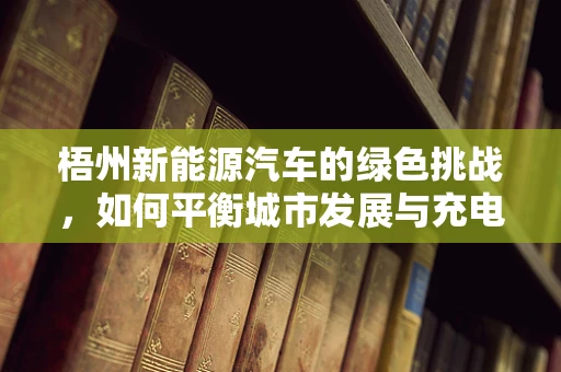 梧州新能源汽车的绿色挑战，如何平衡城市发展与充电基础设施建设？