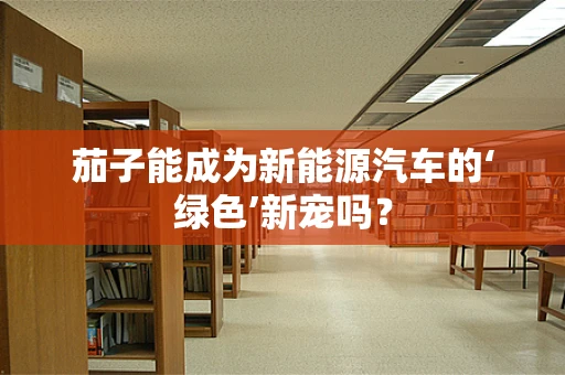 茄子能成为新能源汽车的‘绿色’新宠吗？