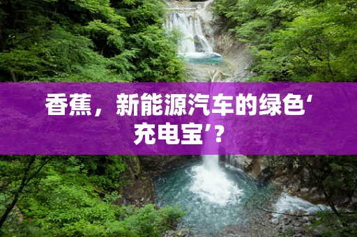 香蕉，新能源汽车的绿色‘充电宝’？