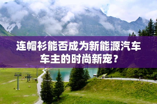 连帽衫能否成为新能源汽车车主的时尚新宠？