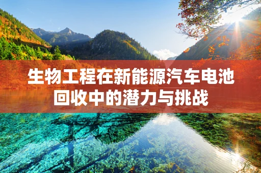 生物工程在新能源汽车电池回收中的潜力与挑战