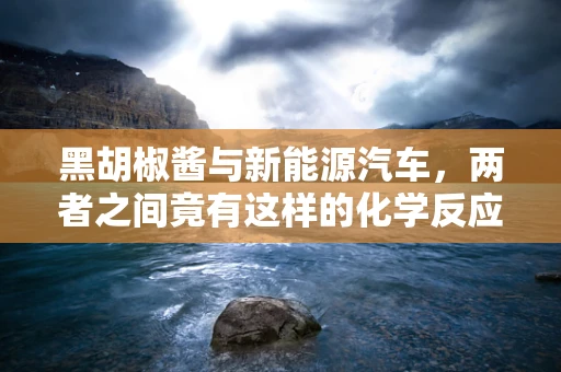 黑胡椒酱与新能源汽车，两者之间竟有这样的化学反应？