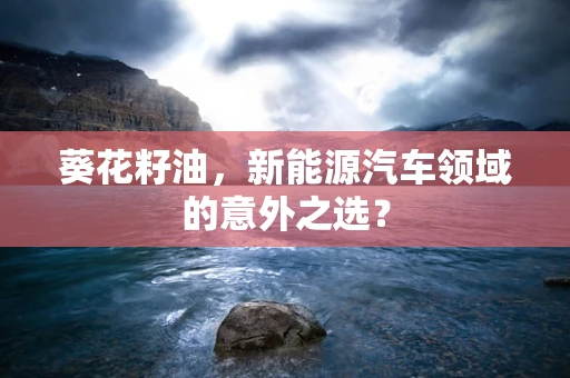 葵花籽油，新能源汽车领域的意外之选？