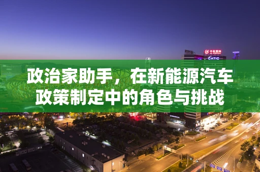 政治家助手，在新能源汽车政策制定中的角色与挑战