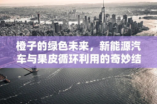 橙子的绿色未来，新能源汽车与果皮循环利用的奇妙结合