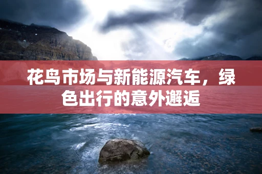 花鸟市场与新能源汽车，绿色出行的意外邂逅
