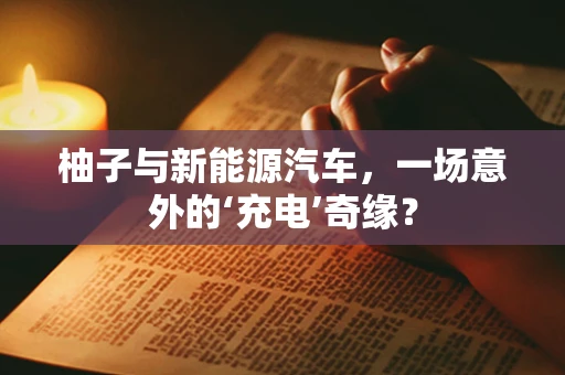 柚子与新能源汽车，一场意外的‘充电’奇缘？