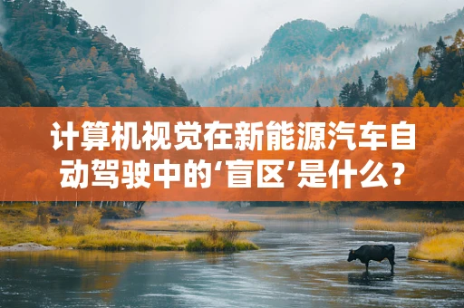 计算机视觉在新能源汽车自动驾驶中的‘盲区’是什么？