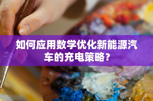 如何应用数学优化新能源汽车的充电策略？