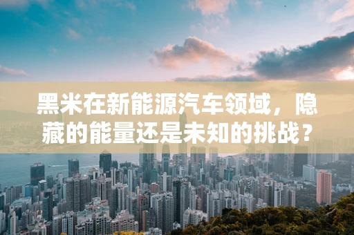 黑米在新能源汽车领域，隐藏的能量还是未知的挑战？