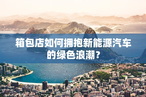 箱包店如何拥抱新能源汽车的绿色浪潮？
