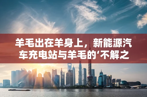 羊毛出在羊身上，新能源汽车充电站与羊毛的‘不解之缘’