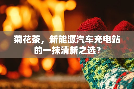 菊花茶，新能源汽车充电站的一抹清新之选？