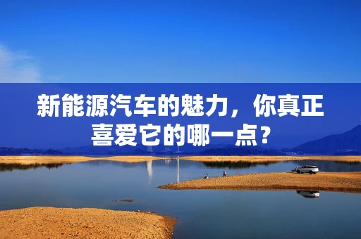 新能源汽车的魅力，你真正喜爱它的哪一点？
