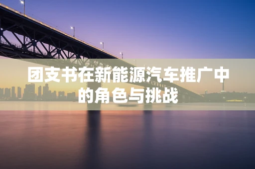 团支书在新能源汽车推广中的角色与挑战