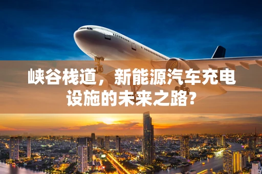 峡谷栈道，新能源汽车充电设施的未来之路？