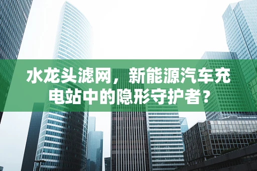水龙头滤网，新能源汽车充电站中的隐形守护者？