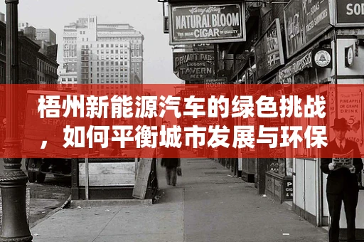 梧州新能源汽车的绿色挑战，如何平衡城市发展与环保需求？